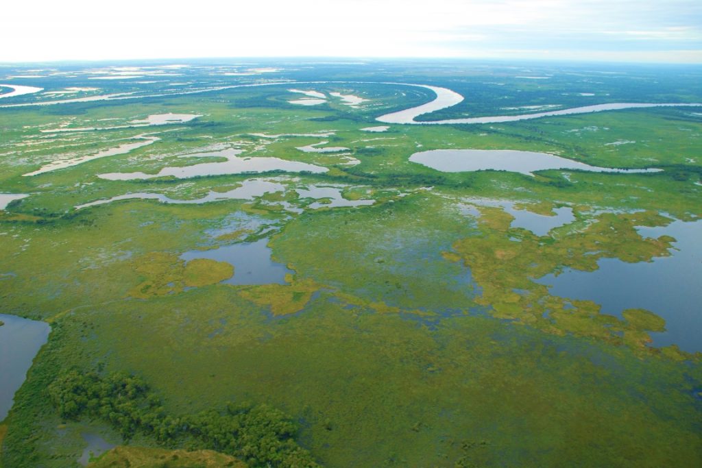Planície pantaneira com rio Paraguai ao fundo por Fabio Pellegrini