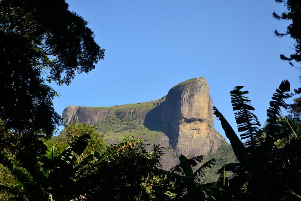 Parque Nacional da Tijuca . Foto: Peterson de Almeida