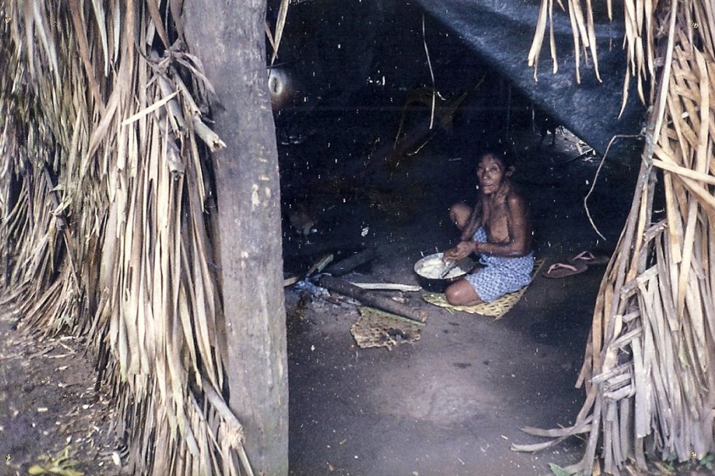 Índia na aldeia do povo Arara, grupo que teve contato há apenas 30 anos. Eles podem ser expulsos da terra pelos madeireiros. Foto: Cimi/Conselho Indigenista Missionário