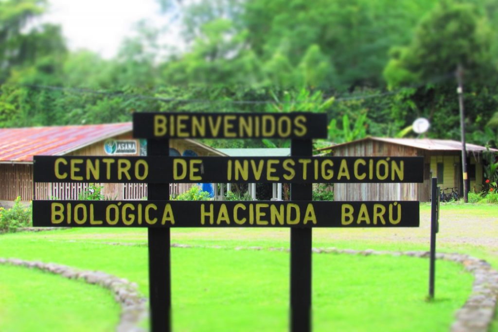 Foto: Fabíola Ortiz.