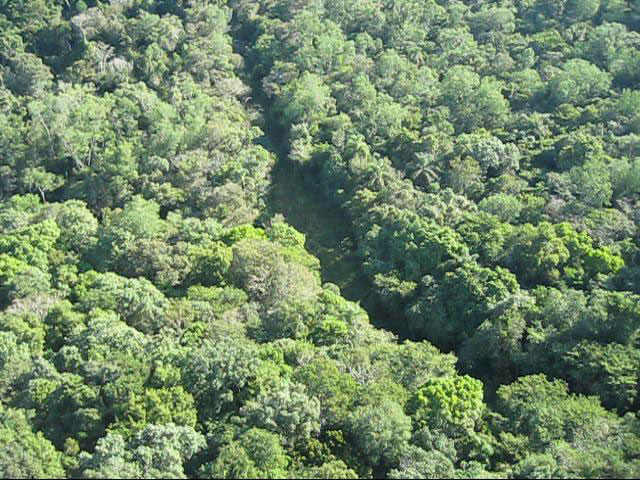 Fotografia de sobrevôo de um dos trechos onde a Estrada do Colono ainda era perceptível em 2008.