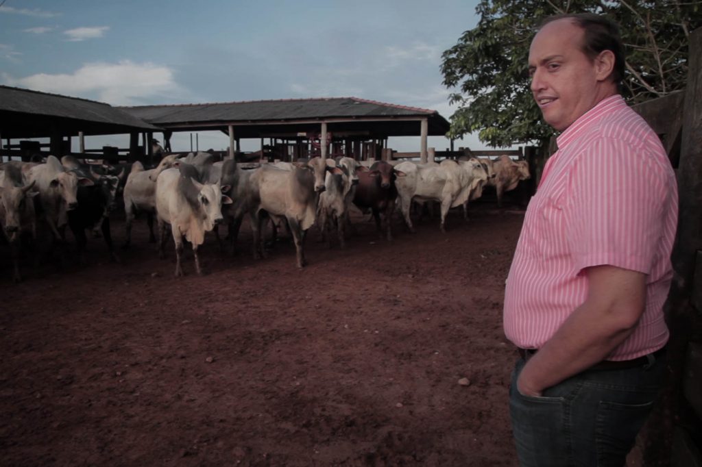 Maurício Fraga supervisiona uma operação de venda de gado vivo para o Oriente Médio.
