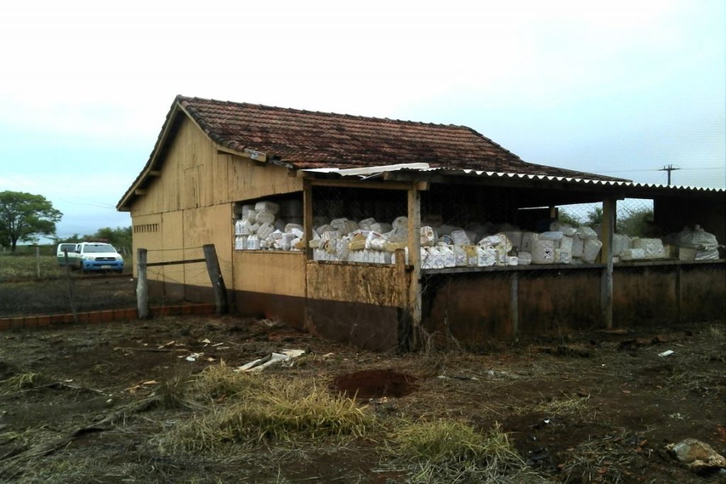 Embalagens vazias de pesticidas estavam armazenadas de forma inadequada contrariando a legislação e as orientações contidas nas bulas dos produtos. Foto: PMA-MS.