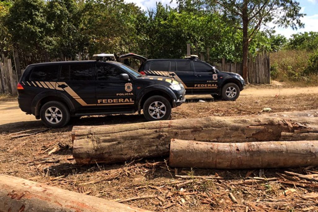 Superintende da PF no Estado afirma que 99% da madeira extraída vem de unidades de conservação, portanto são ilegais. Fotos: Polícia Federal