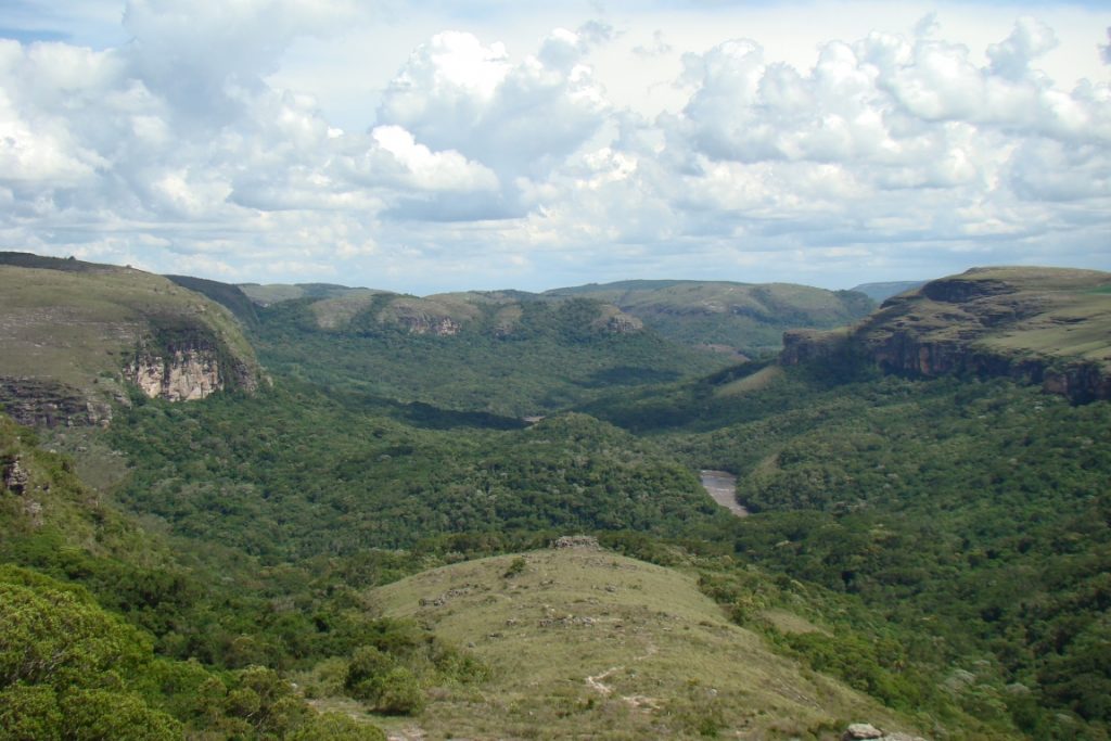 Trilha Mato da Toca, Canyon Guartelá. Foto: Observatório de Justiça e Conservação.