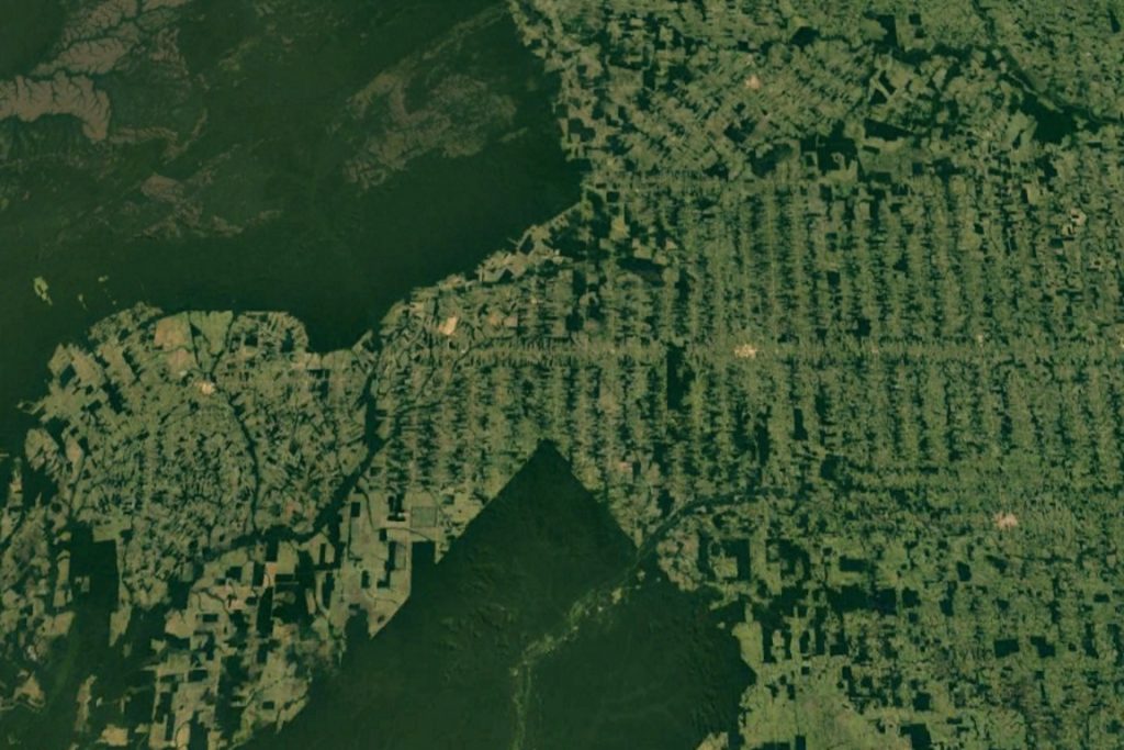 Resultado de imagem para amazonia desmatamento satÃ©lite
