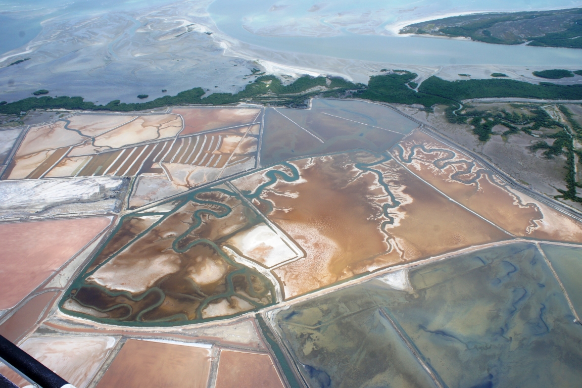 Salineiras. Uma das mais exitosas ações do Ibama, a Operação Ouro Branco, que fiscalizou a atividade salineira (acima) em manguezais, é criticada pelo atual superintendente do Ibama. Foto: Henrique Lage.