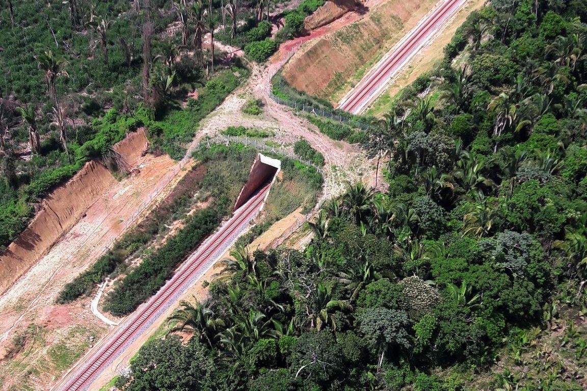 Resultado de imagem para Carajás: brasil tem primeiro viaduto para travessia de fauna