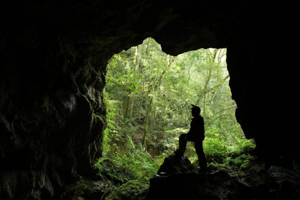 Caverna de Cercado, na APA da Escarpa, em Palmeira. Foto: GUPE.