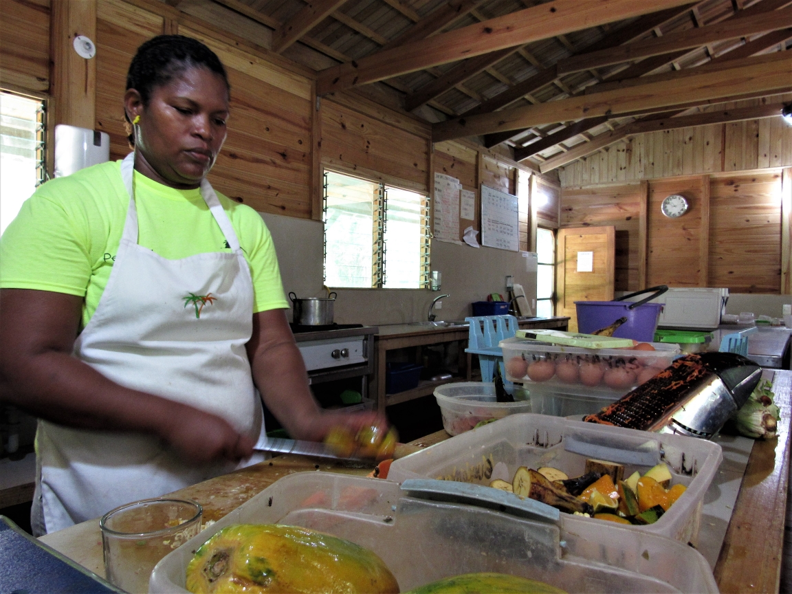Cozinha onde se prepara os alimentos para aves. Foto: Fabíola Ortiz foto-8-colombia