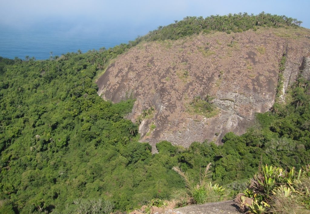 O arquipélago tem 93 espécies ameaçadas, sendo 20 endêmicas, que só ocorrem neste pedacinho do paraíso. Foto: Daniele Bragança.