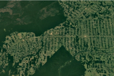 Desmatamento em Rondônia. Imagem: Google Earth.