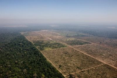 Área desmatada por fogo na Floresta Nacional do Jamanxim, para uso em agropecuária. Foto: Daniel Beltra/Greenpeace.