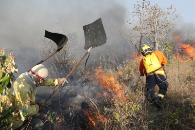 Em Brasilia, Bombeiros apagam fogo de carro em chamas