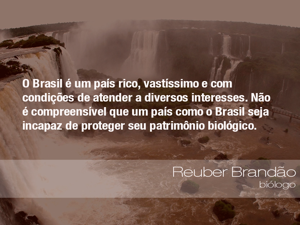 2017-11-09-frases-brandao