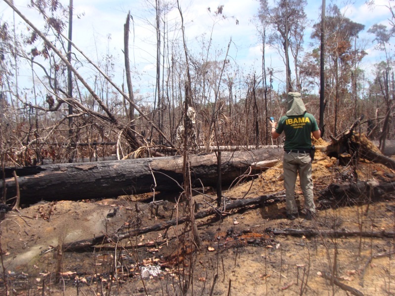 Foto: Ascom/Ibama/AM