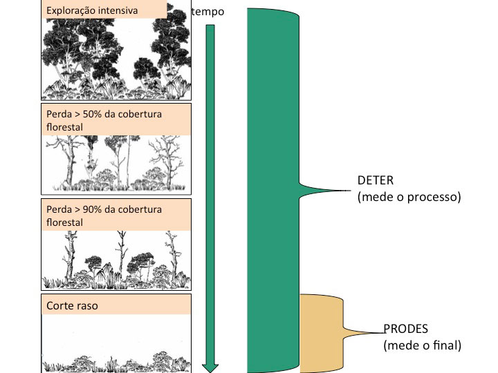 A ilustração compara o que é detectado pelo Deter e o que é captado pelo Prodes. Crédito: imagem cedida pelo Inpe