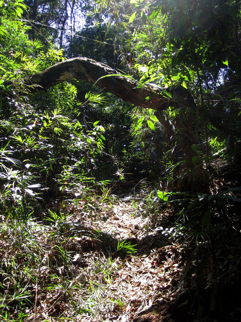 Os caminhos coloniais propiciam trilhas amplas e fáceis de serem percorridas