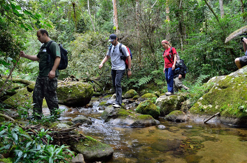 Uricanal. Foto: Bruno Nepomuceno