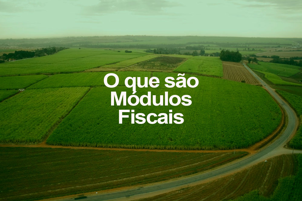 Crédito da imagem original: Fernando Stankuns /Flickr