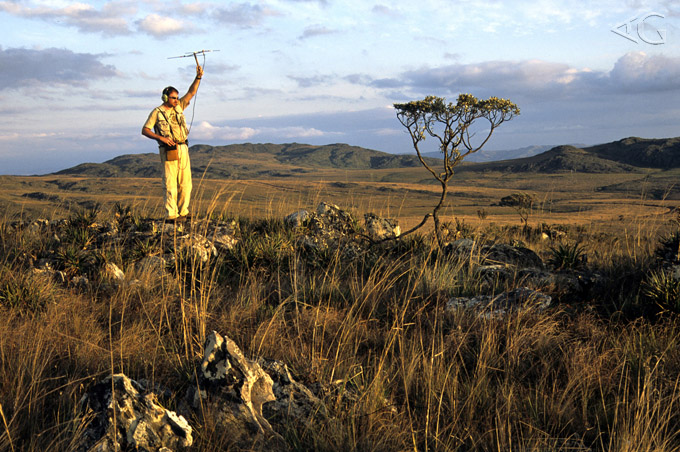 Rogerio Cunha faz telemetria nos campos da Serra da Canastra, na época em que o Projeto dispunha apenas deste tipo de tecnologia para monitorar os lobos-guará.