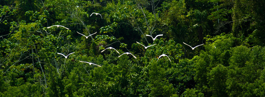 Acre, Brasil. Foto: © Pedro França/MinC
