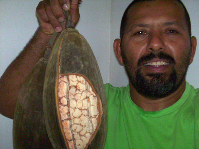 Gilberto com os frutos de baobá 