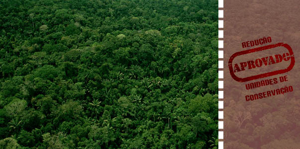 Arte: Paulo André Vieira