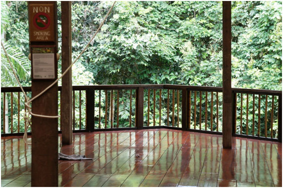 Vista a partir da "Posada Amazonas", gerida pela comunidade nativa do Infierno.