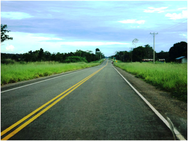 Uma estrada nova quase sem uso entre Puerto Maldonado e a fronteira brasileira. Fotos: Marc Dourejeanni