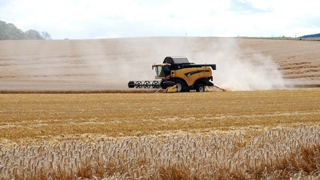 Após irregularidades, governo afirma que aumentará fiscalização. Foto: ecooperativa.
