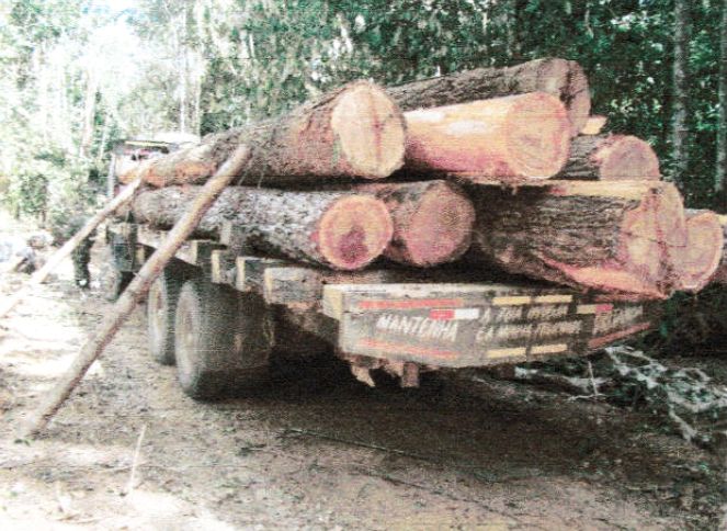 Caminhão apreendido em flagrante e depois liberado por decisão judicial. Crédito: ICMBio