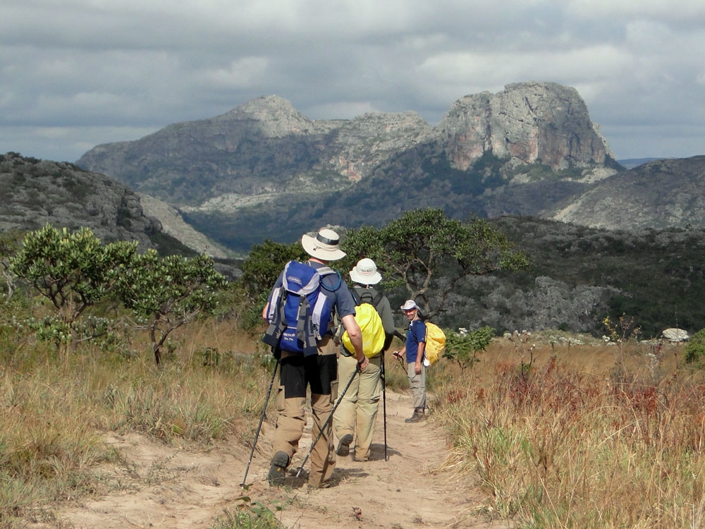 Parque Nacional das Sempre-Vivas/MG. Fotos: Felipe Ribeiro/Associação Montanhas do Espinhaço