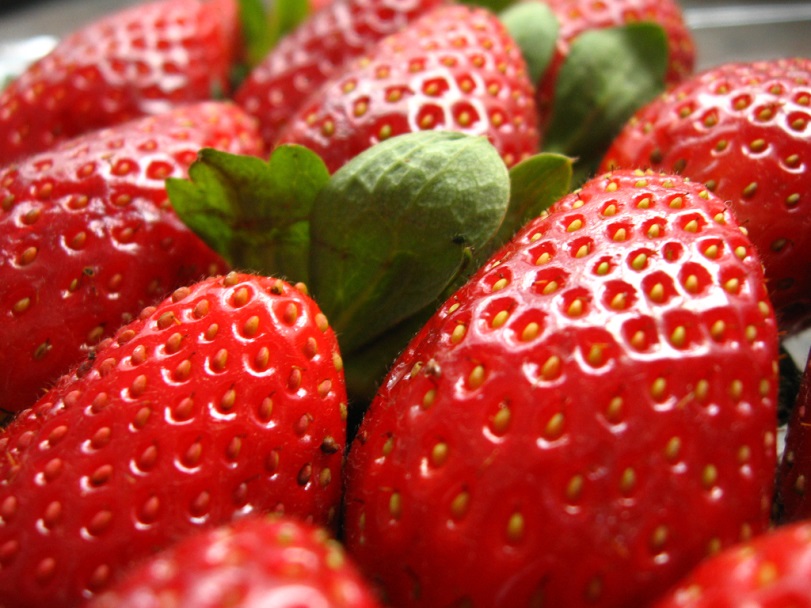 59% das amostras de morango estavam com excesso de agrotóxico ou com contaminado com substâncias proibidas. Foto: DigaoSPBR/Flickrs