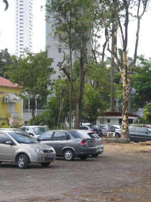 Estacionameno do Ibama ganha espaço e perde sombra. Carros não correm mais riscos de acidentes com queda de galhos, argumentou a superintendente do Ibama, Ana Paula Pontes. Foto: Celso Calheiros