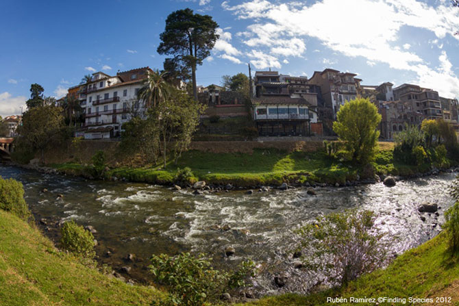 Santa Ana de los Rios de Cuenca foi fundada em 1557, antes foi a conhecida cidade Inca Tomebamba, atualmente é a terceira cidade mais importante do país. Crédito: Rubén Ramírez, Finding Species.