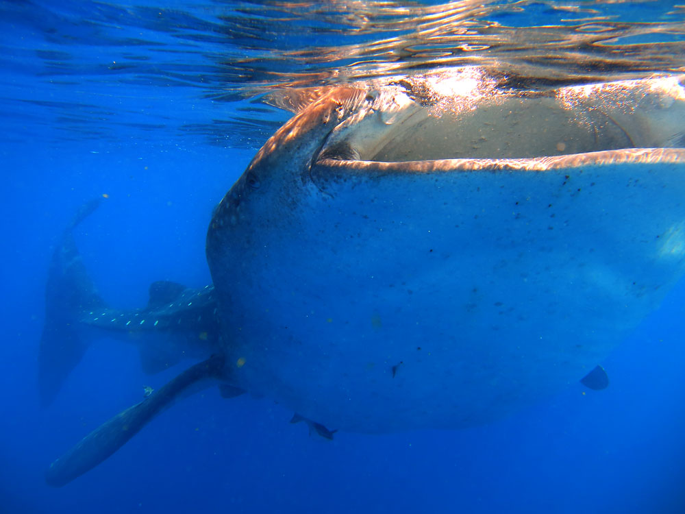 Foto: Fabio Olmos | Clique para ampliar