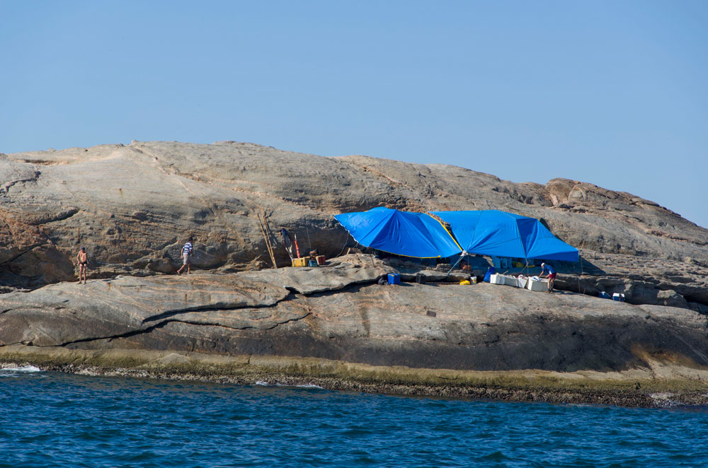 Clique para ampliar.