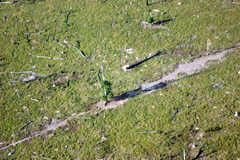 Segundo Imazon, corte raso diminuiu em agosto. Acima, imagem de uma área desmatada no Pará. Leonardo F.Freitas/Flickr
