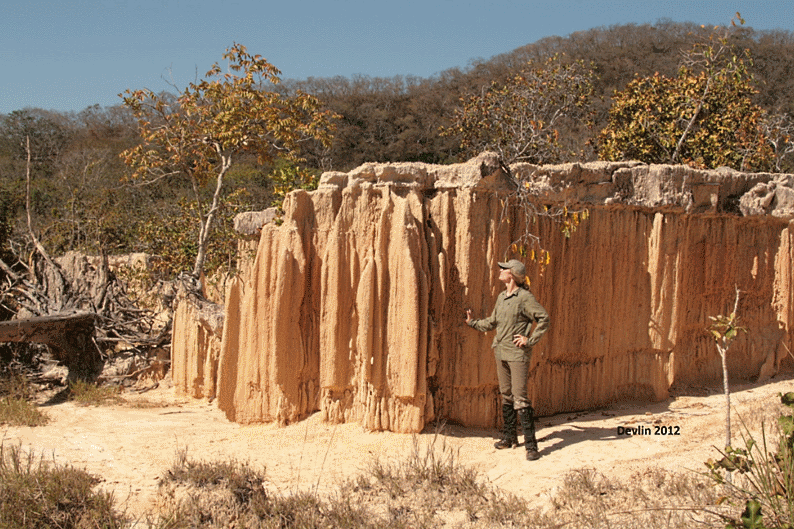Saleiro encontrado na entrada da RPPN Acurizal Segundo Vale, com a autora A. Devlin para a escala (2012).