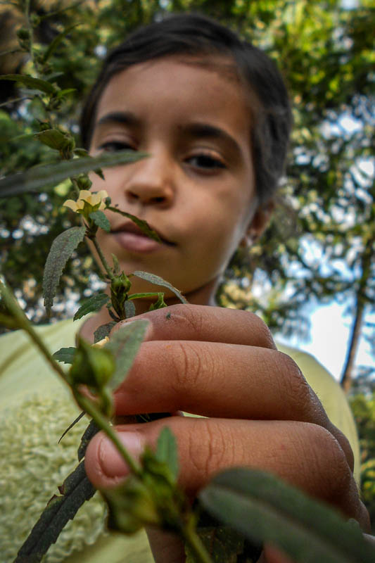 Menina Brenda tenta limpar o pó de ferro das plantas. Brenda vive com a avó Dona Angelita e não pode mais brincar no quintal de sua casa pela poluição. Desempregada, ela mora com os pais e se dedica a cuidar da saúde dos filhos pequenos que sofrem de problemas respiratórios e alergias de pele. Foto: Fabíola Ortiz/O Eco