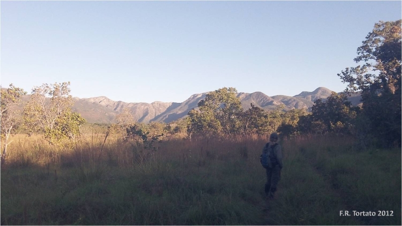 A autora Allison Devlin na estrada que leva ao Segundo Vale. Foto: F. Tortato/ 2012.