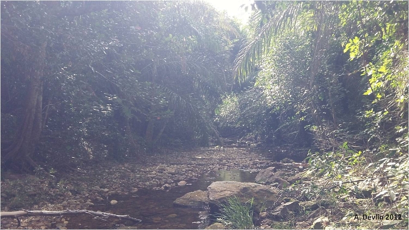 Riacho que corta o Segundo Vale - para mim, certamente um dos lugares mais bonitos que eu tive o privilegio de conhecer e trabalhar. Foto: A. Devlin/2012.