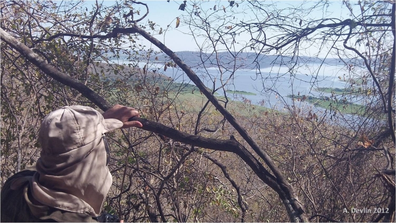 O biólogo Fernando Tortato, no topo de uma das montanhas de, observando a porção norte de Acurizal. Foto: A. Devlin/2012.