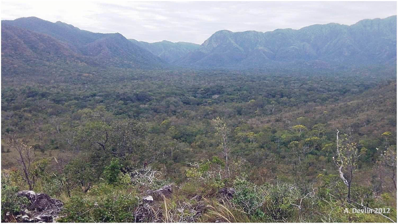 Vista do Segundo Vale, RPPN Acurizal, fotografado em um dia frio e nublado. Foto: A. Devlin/2012.