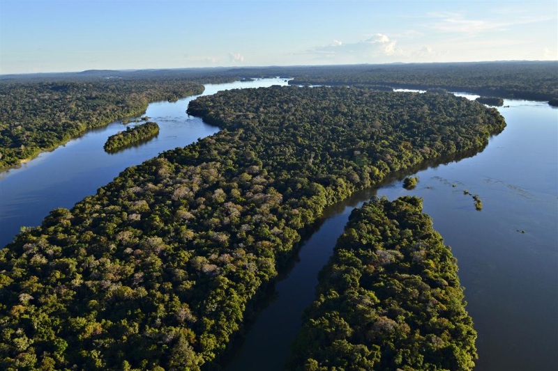 Governo desiste de alagar Parque Nacional do Juruena (acima). Foto: Adriano Gambarini-WWF-Brasil/Divulgação.