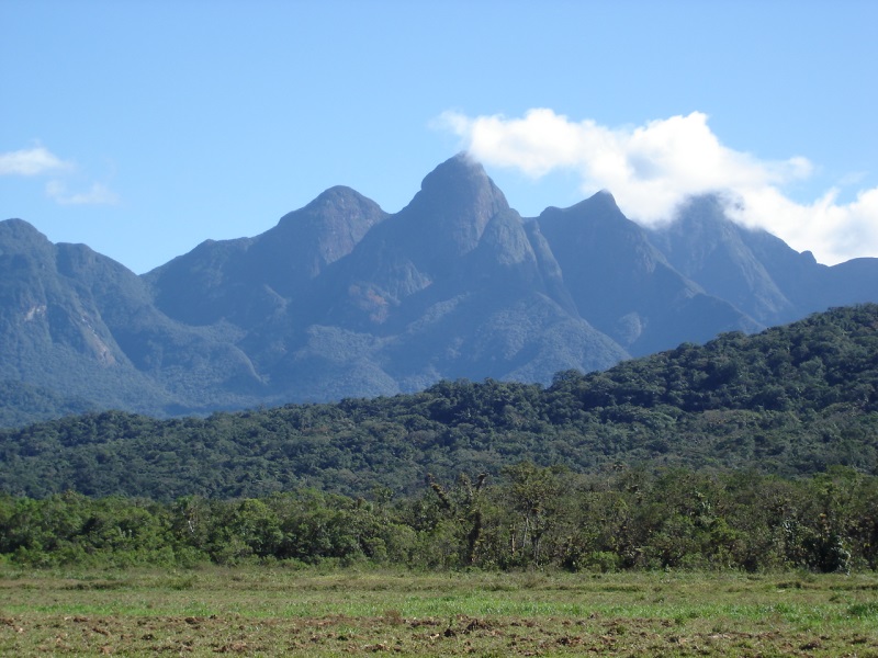 A reserva privada Santa Maria recebe apoio de um escritório de advocacia em Curitiba. Foto: Arquivo SPVS