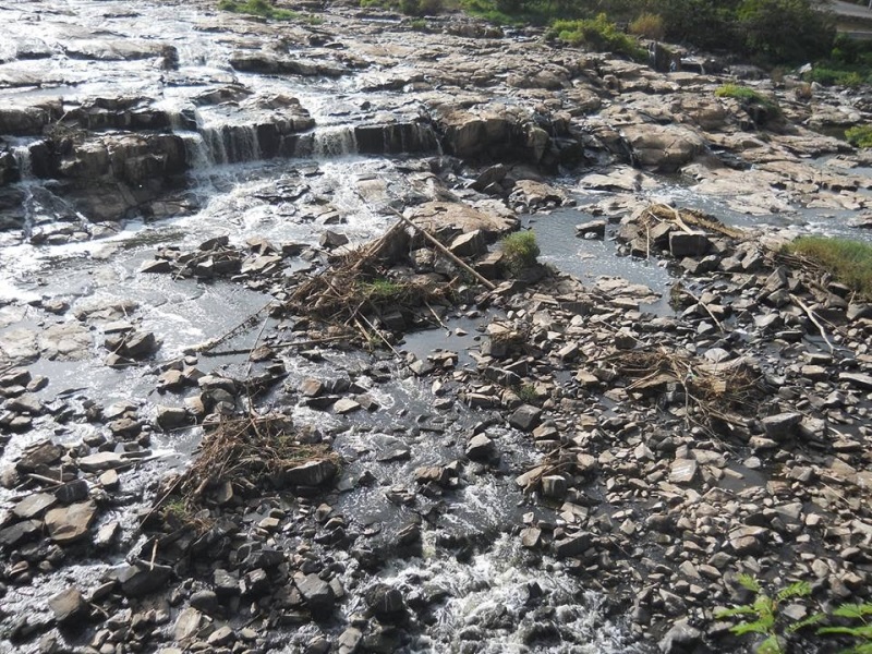 Rio Piracicaba. Foto: SOS Rios do Brasil.