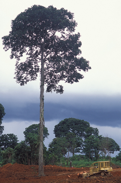 Construção do gasoduto Urucu-Manaus. Foto: Divulgação/Governo Federal