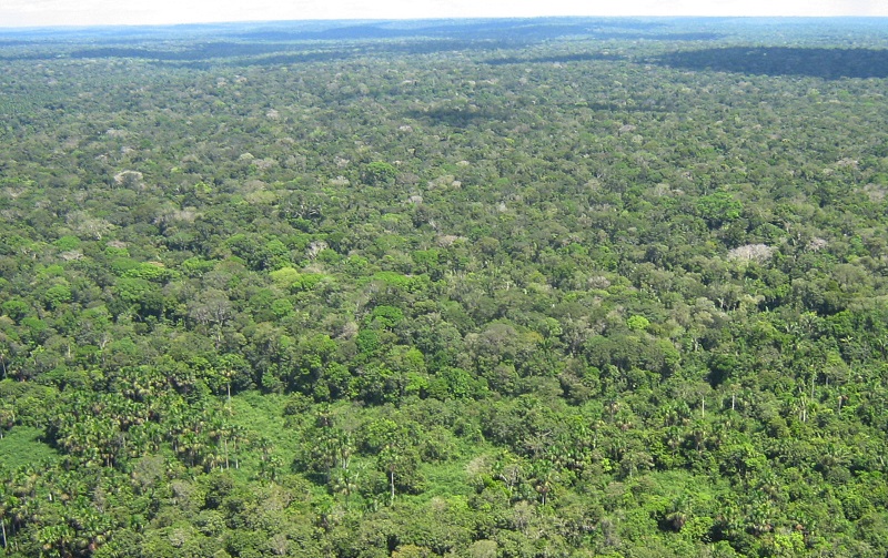 A Estação Ecológica Alto Maués vista por cima. Foto: ICMBio.
